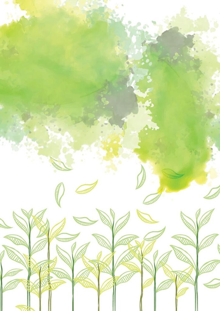 Annual Report – 2020/2021