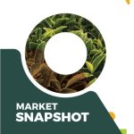 Market Report – 16th & 17th January 2024